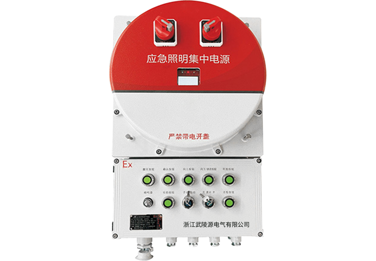 集中电源集中控制型应急照明集中电源(A型)(防爆照明配电箱IIC, tD)