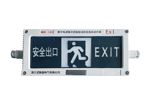 集中电源驱动照明疏散系统的关键技术及标准化管理