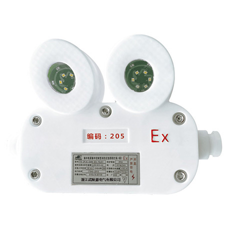 <strong>以集中电源为核心，规范照明疏散系统控制设计</strong>