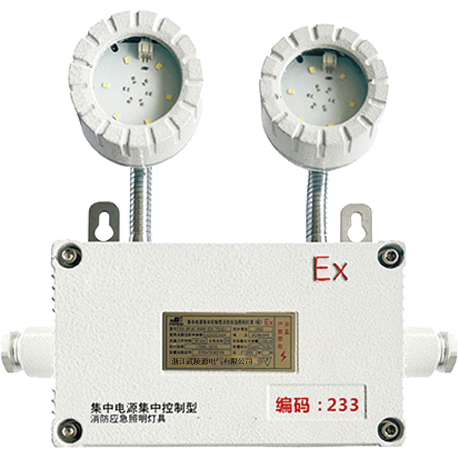 <strong>照明疏散系统集中电源的选型与调试技巧</strong>